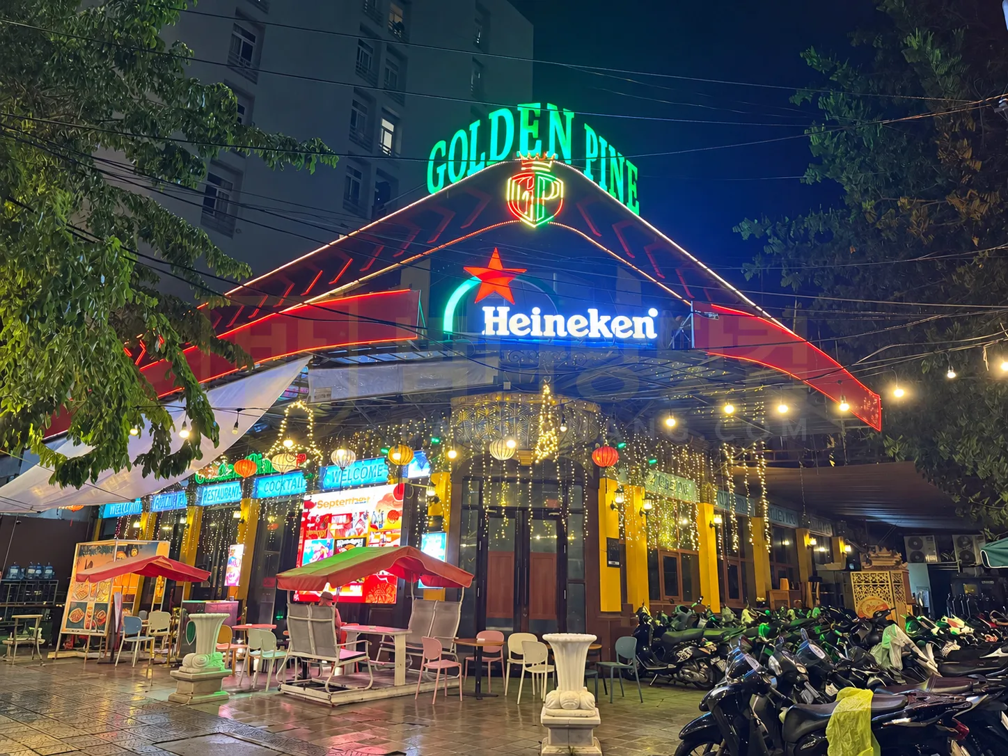 뉴 골든 파인 펍 - New Golden Pine Pub
